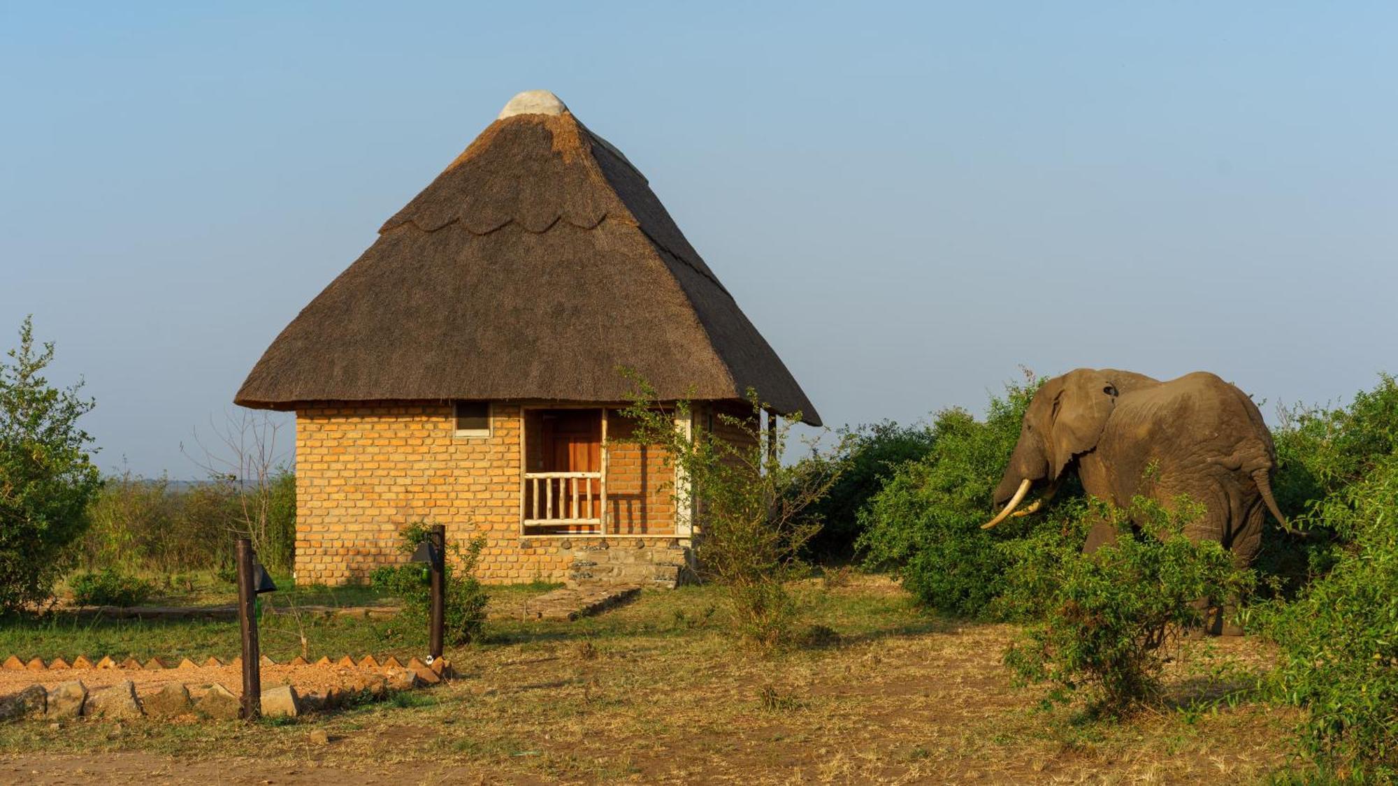 Tabingi Safari Cottages Katunguru ภายนอก รูปภาพ