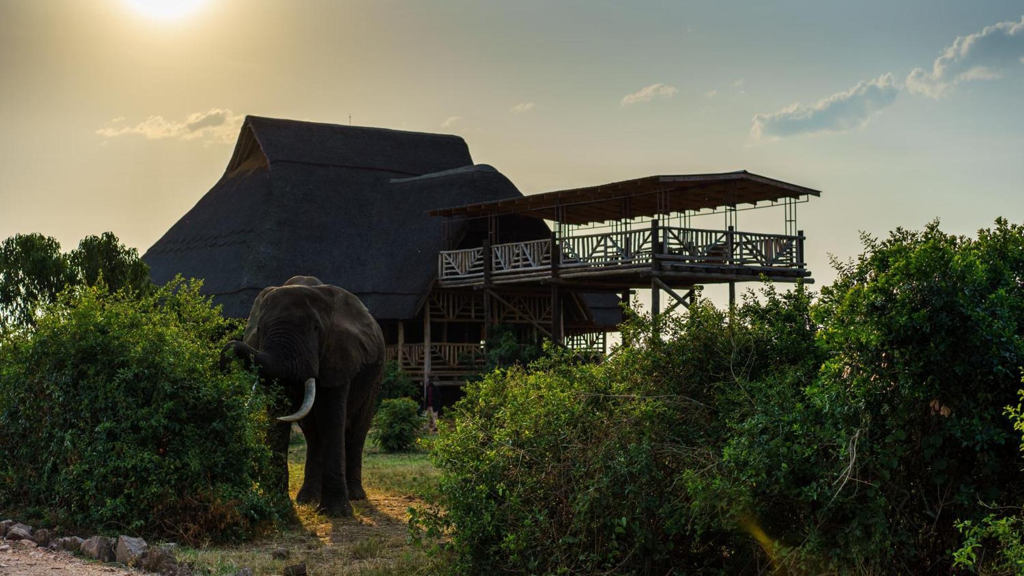 Tabingi Safari Cottages Katunguru ภายนอก รูปภาพ