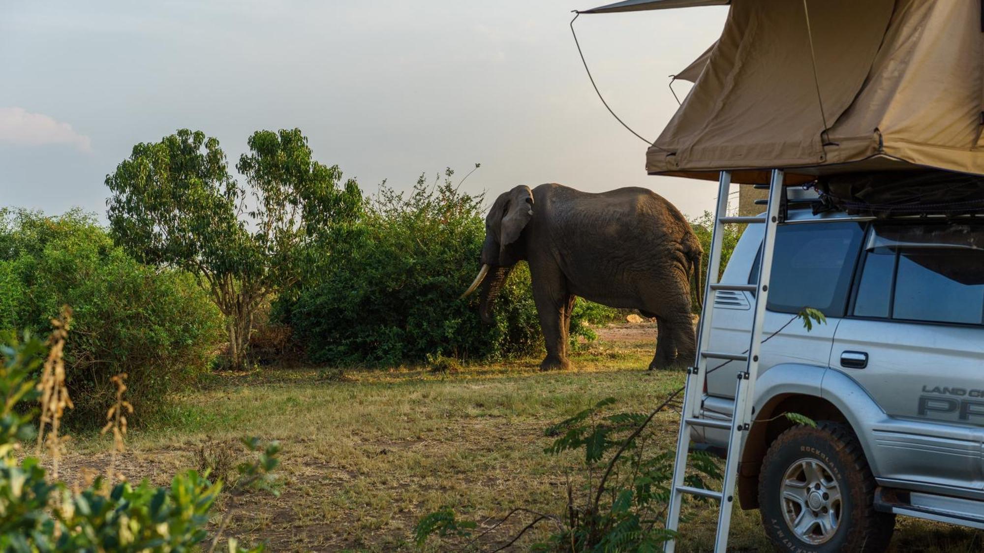 Tabingi Safari Cottages Katunguru ภายนอก รูปภาพ