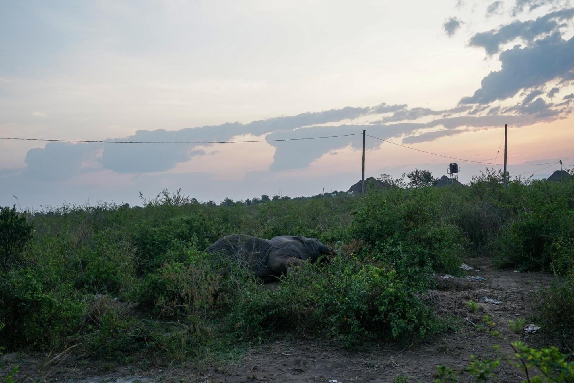 Tabingi Safari Cottages Katunguru ภายนอก รูปภาพ